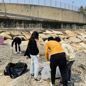 Beach Cleanup