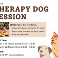 Therapy Dog Session