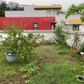 Organic Gardening on 2023-4-19