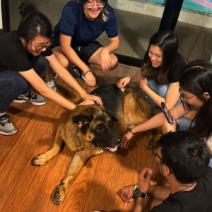 Therapy Dog Session - Oct 25