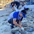 Beach cleaning 9