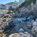 Beach cleaning 16