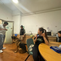 Therapy Dog Session (Dec 11)