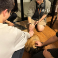 Therapy Dog Session (Dec 11)
